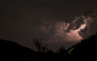 Low angle view of silhouette trees against sky at night