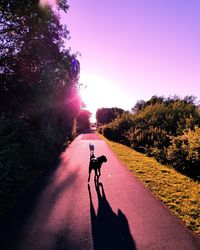 Man riding bicycle on road amidst trees against sky