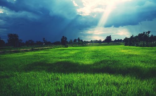 Scenic view of landscape against sky