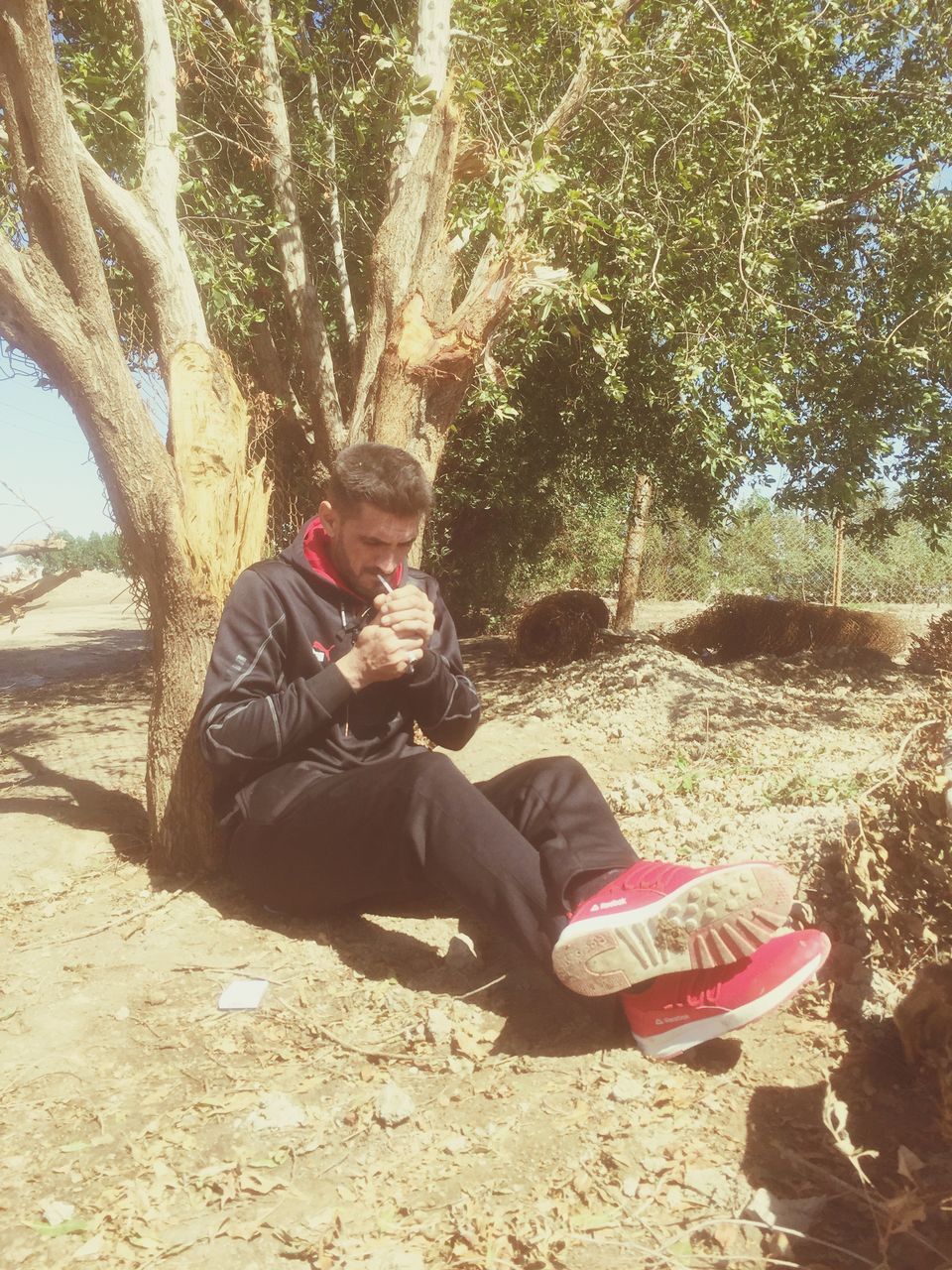 SIDE VIEW OF YOUNG MAN SITTING ON TREE