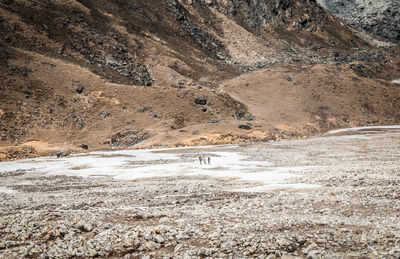 Scenic view of snow covered land