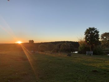 Scenic view of field against clear sky during sunset