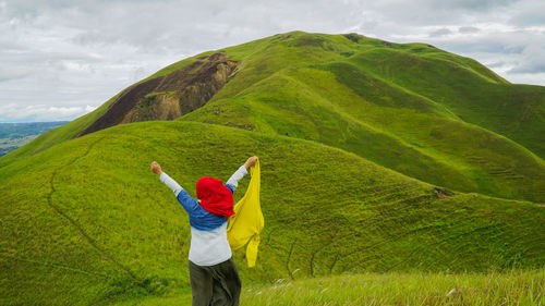 Rear view of a person on landscape