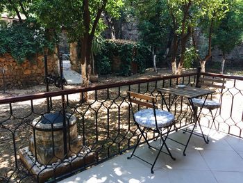 Chairs and table against trees