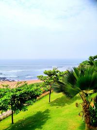 Scenic view of sea against sky