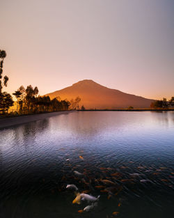 Scenic view of lake against clear sky during sunset