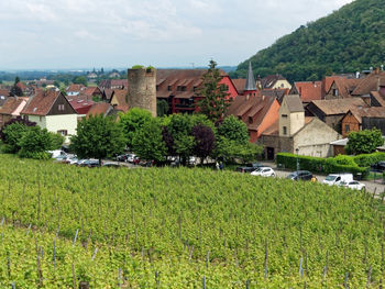 Trees and houses on field against buildings in city
