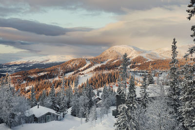 Winter landscape with cabins and snowy forest