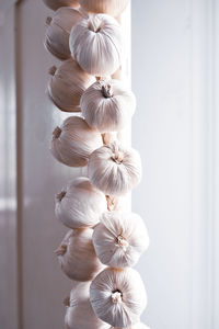 Directly above shot of white flowers hanging on wall