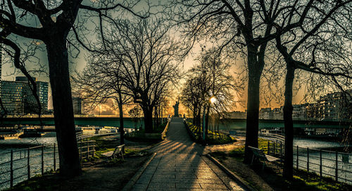 Bare trees in park at sunset