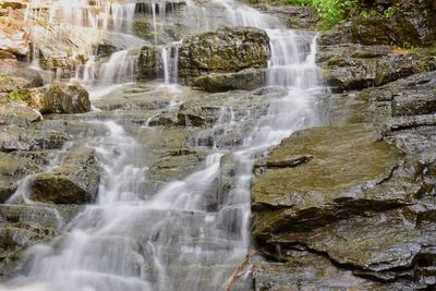 Scenic view of waterfall in forest