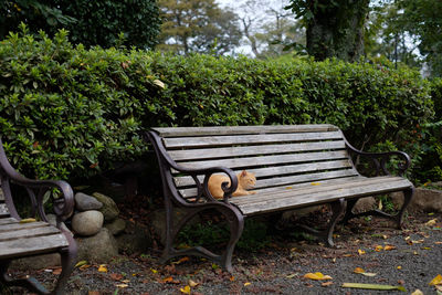 Empty bench in park