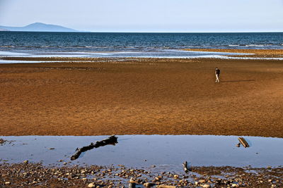 Scenic view of beach against clear sky