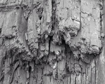 Close-up of wooden wall