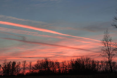 Silhouette trees on field against romantic sky at sunset