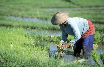 Woman holding bunch of grass while working on field