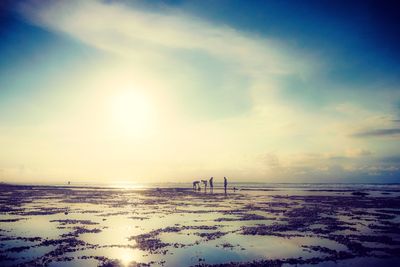 Scenic view of beach against sky during sunset