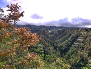 Scenic view of tree mountains against sky