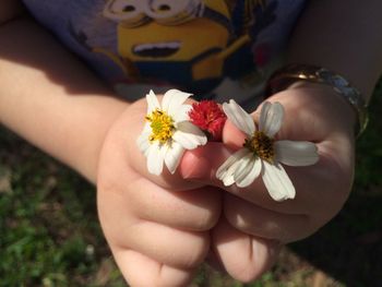 Close-up of hand holding flower