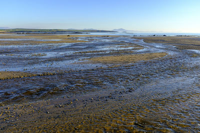 Scenic view of beach against clear sky
