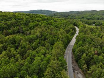 High angle view of road amidst trees in forest