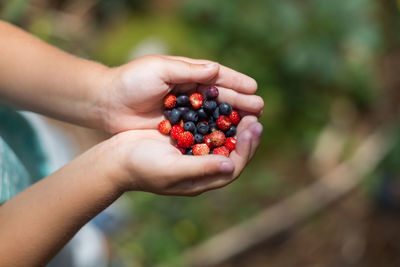 Wild strawberries and blackberries in kids hands. close up