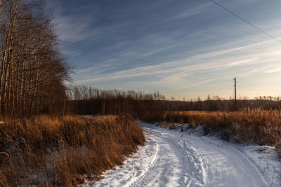 Road amidst trees on field against sky during winter