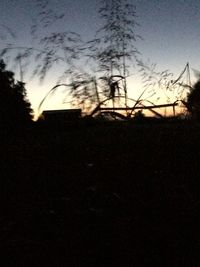 Bare trees on field at sunset