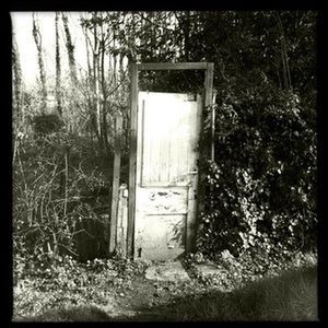 tree, transfer print, auto post production filter, house, growth, plant, abandoned, built structure, window, forest, old, nature, wood - material, architecture, tranquility, day, no people, door, obsolete, outdoors