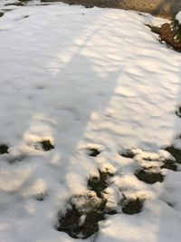 Scenic view of snow covered landscape