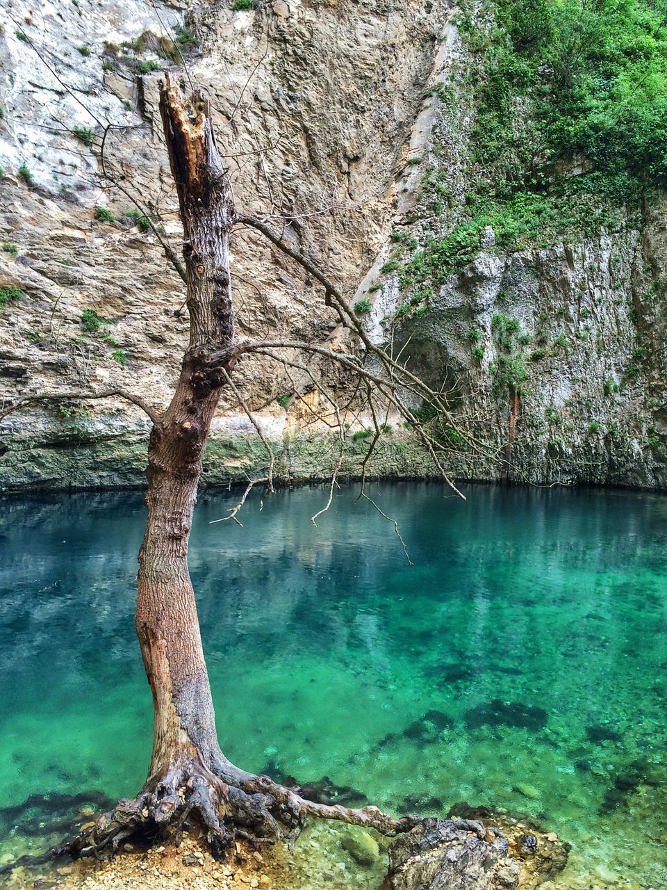 water, tree, nature, beauty in nature, tranquility, tranquil scene, scenics, rock - object, tree trunk, growth, river, day, outdoors, reflection, forest, idyllic, stream, lake, no people, branch