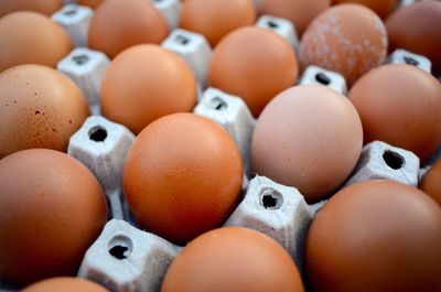 Close-up of brown eggs in carton