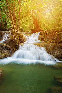 Scenic view of waterfall in forest