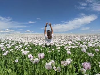 Woman with pink flowers on field against sky