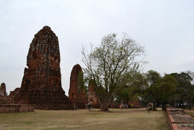 Trees in a temple against sky