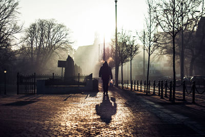 Rear view of man walking on footpath