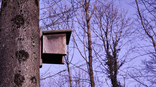 Low angle view of bare trees against sky