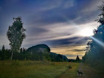 Scenic view of land against sky