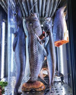 Close-up of man wearing mask