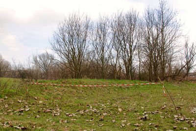 Bare trees on field against sky