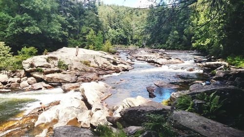 Stream flowing through rocks in forest