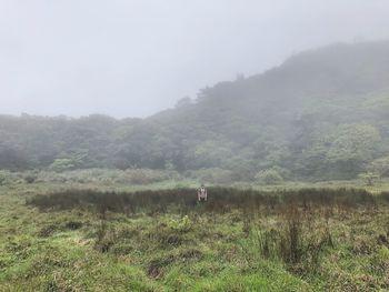Scenic view of grassy field against mountains