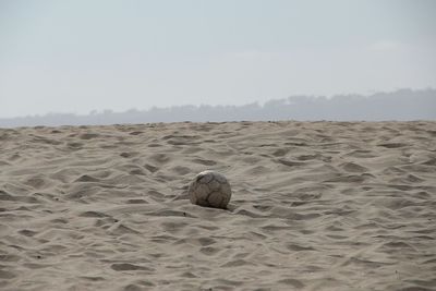 Scenic view of desert against sky