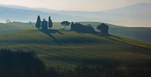 Scenic view of landscape