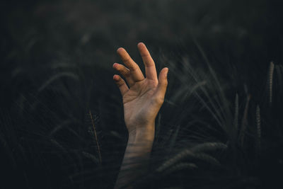 Close-up of person hand against black background