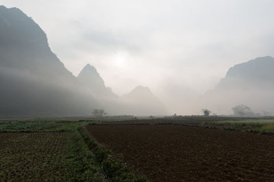 Scenic view of agricultural field against sky with foggy mountains 