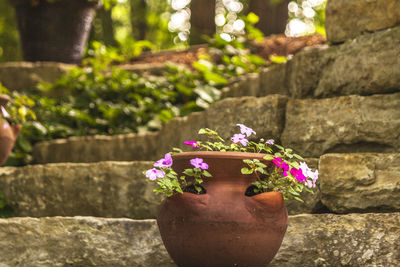 Close-up of hand holding flowers against blurred background