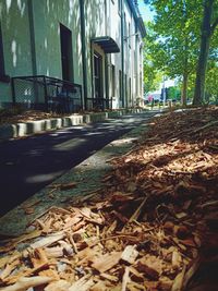 Surface level of street amidst buildings in city