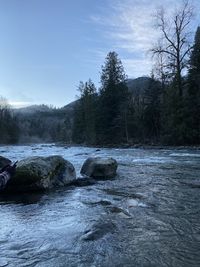 Scenic view of river flowing in forest against sky