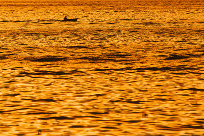 View of birds swimming in sea